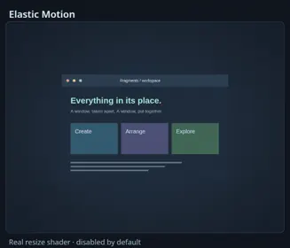 Elastic Motion Resize