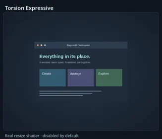 Torsion Expressive